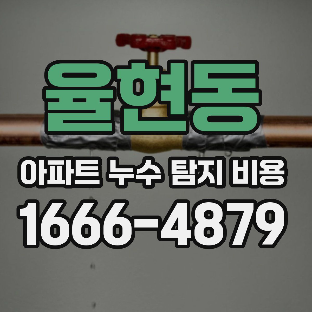 율현동 아파트 누수 탐지 비용