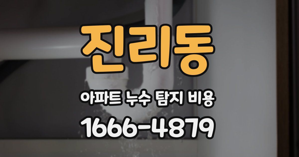 진리동 아파트 누수 탐지 비용