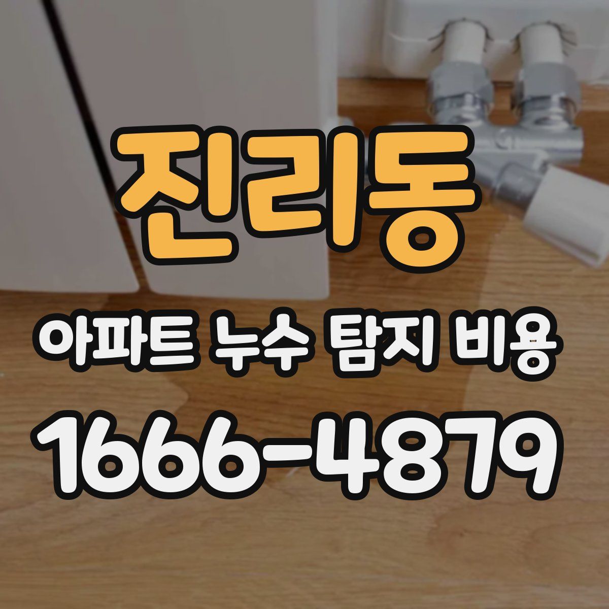 진리동 아파트 누수 탐지 비용