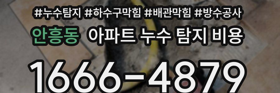 안흥동 아파트 누수 탐지 비용