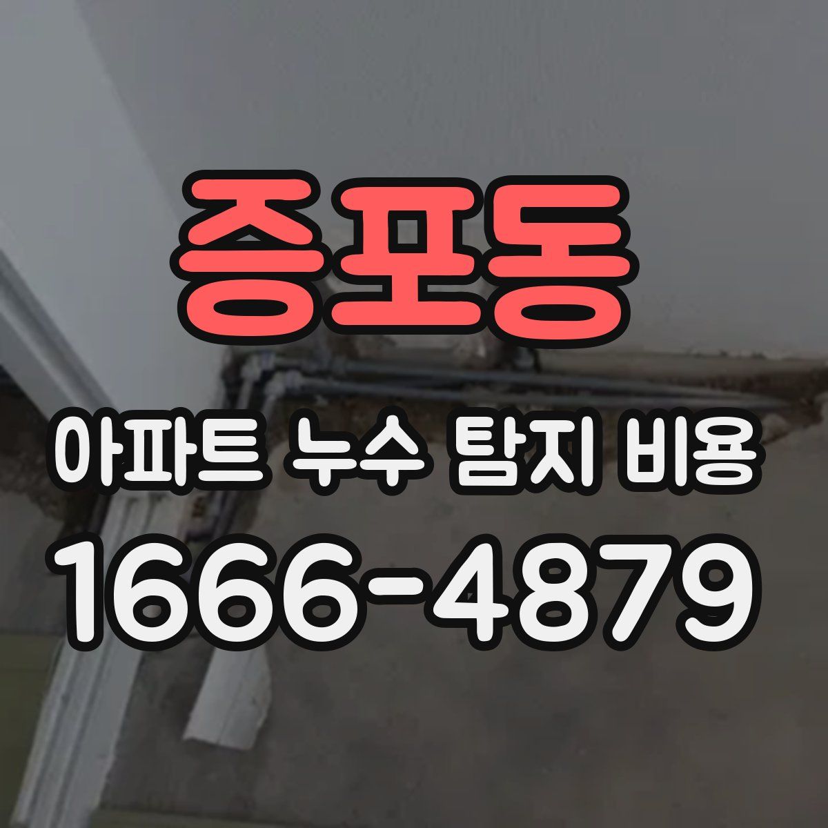 증포동 아파트 누수 탐지 비용