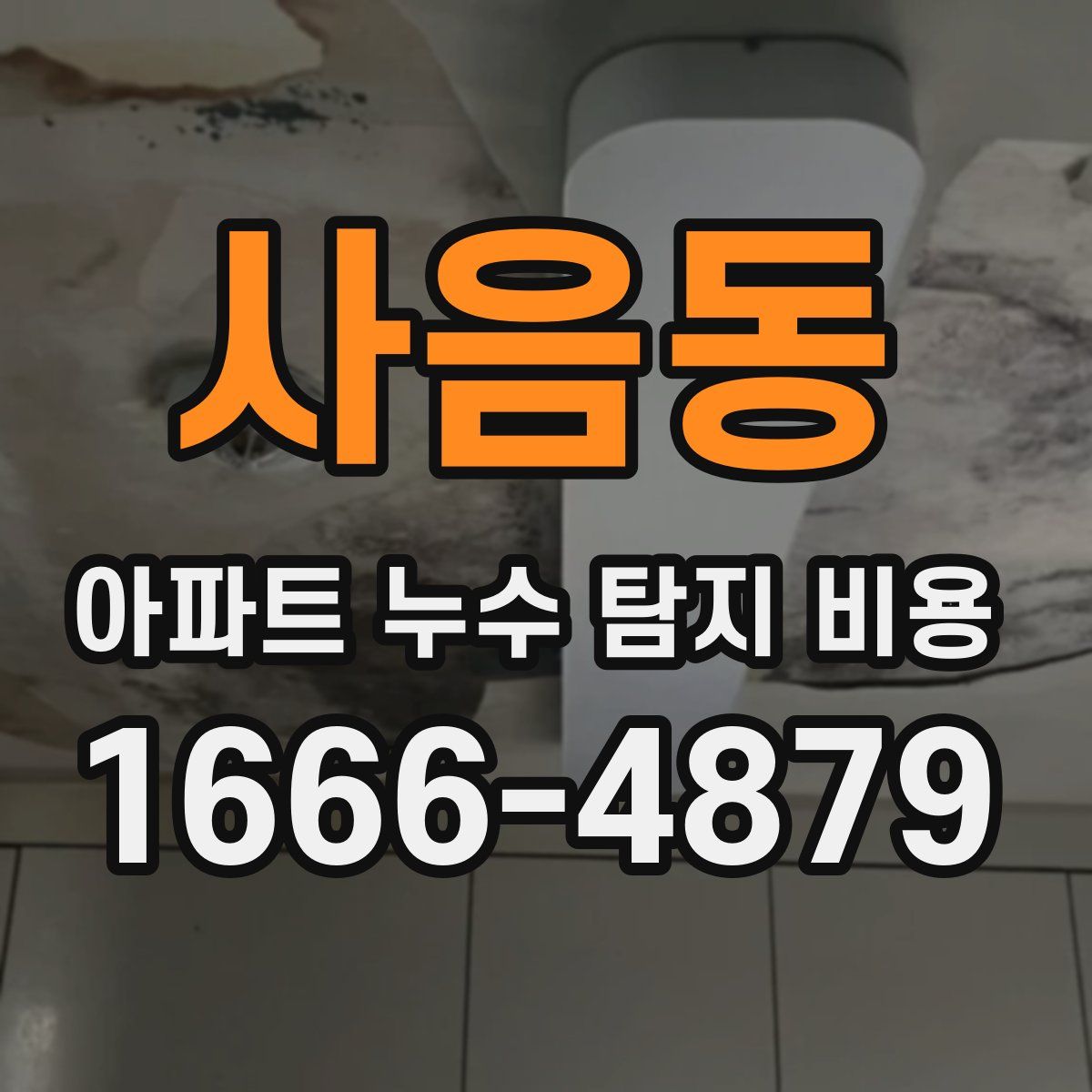 사음동 아파트 누수 탐지 비용