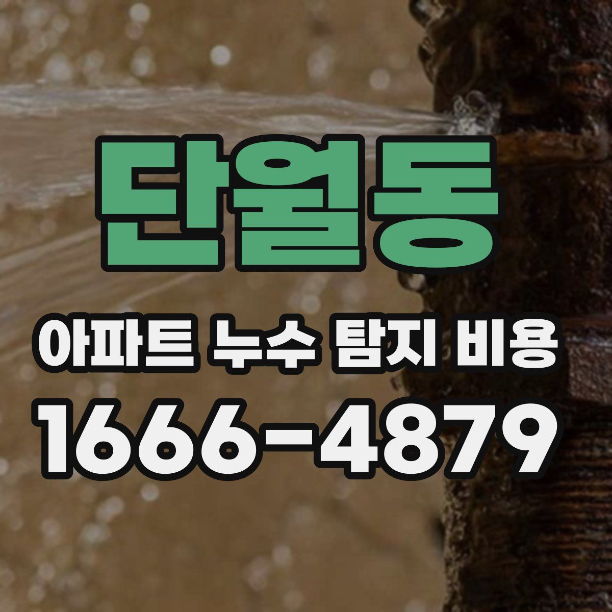 단월동 아파트 누수 탐지 비용