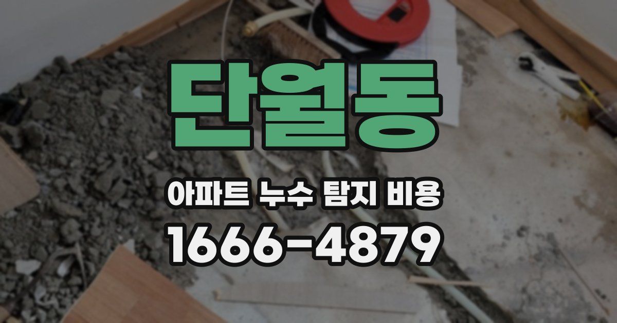단월동 아파트 누수 탐지 비용