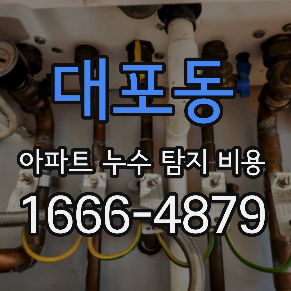 대포동 아파트 누수 탐지 비용