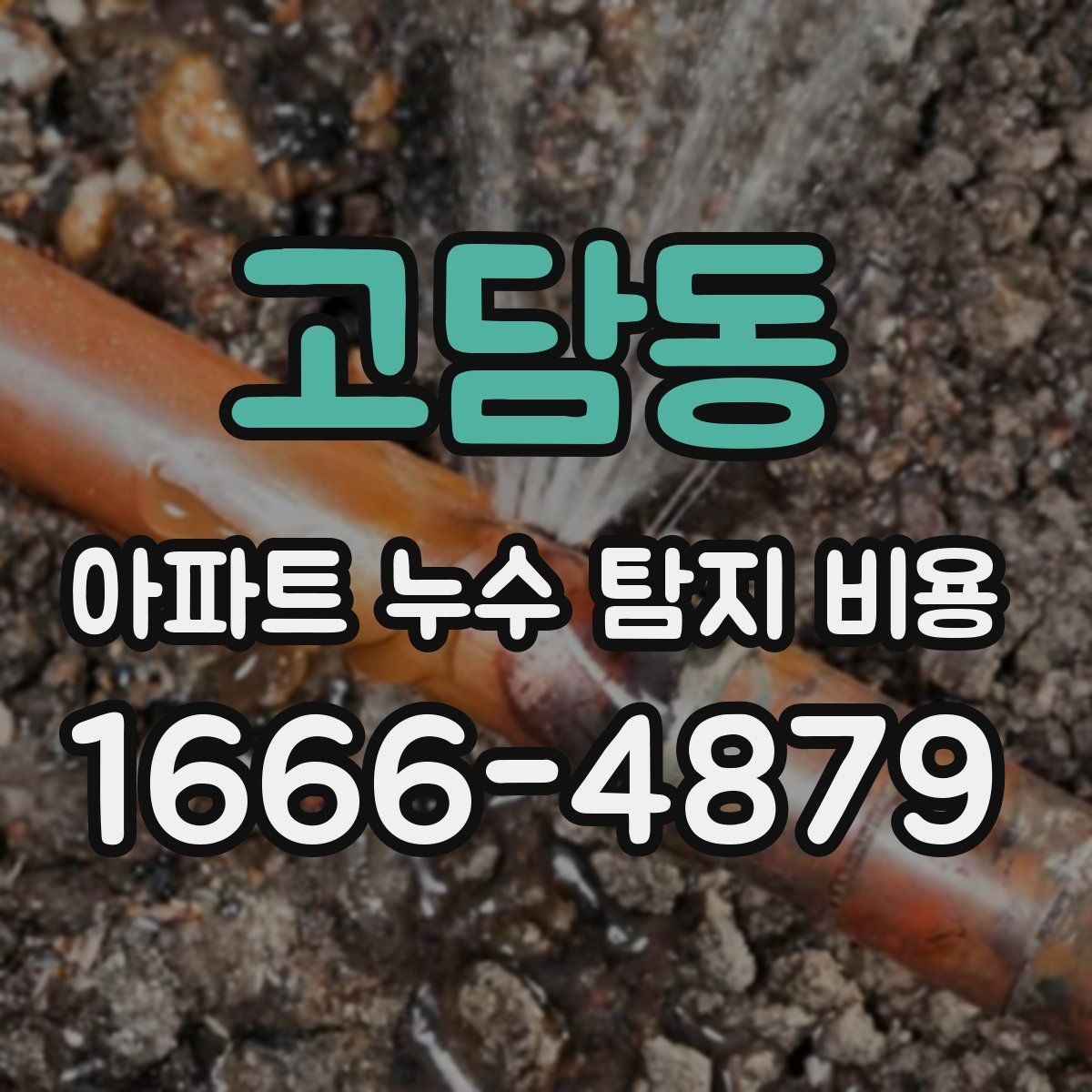 고담동 아파트 누수 탐지 비용
