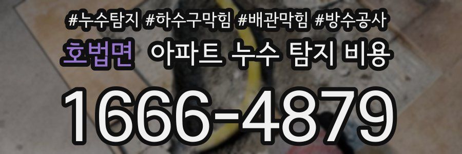 호법면 아파트 누수 탐지 비용