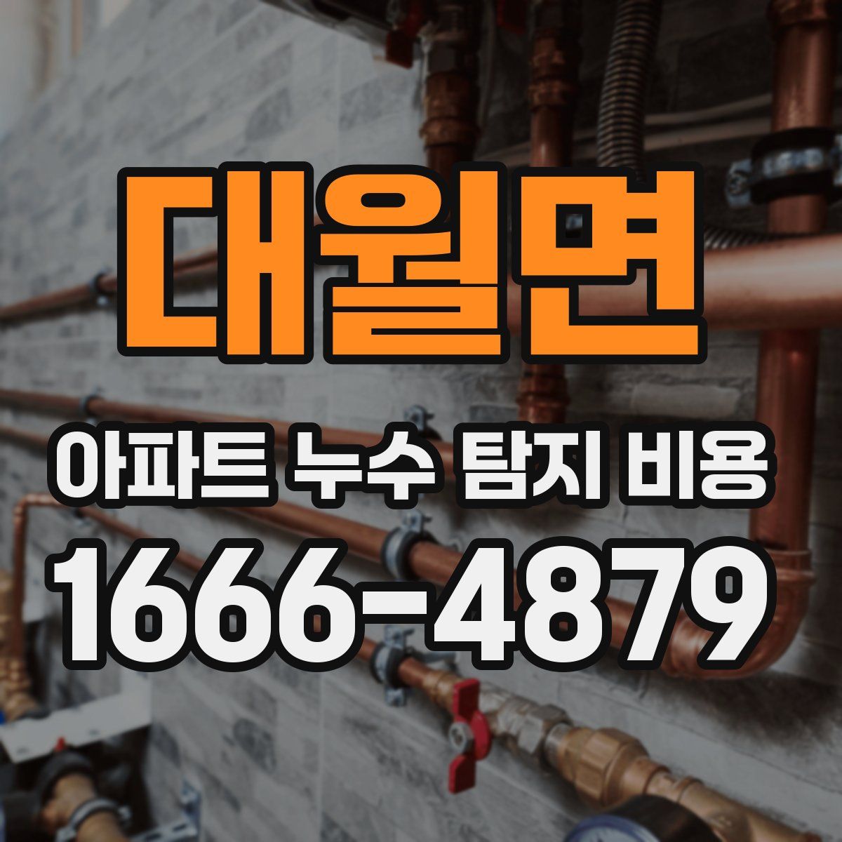 대월면 아파트 누수 탐지 비용