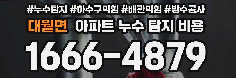대월면 아파트 누수 탐지 비용