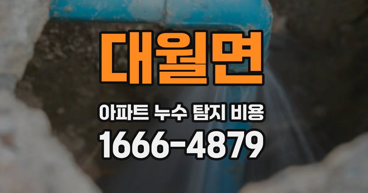 대월면 아파트 누수 탐지 비용