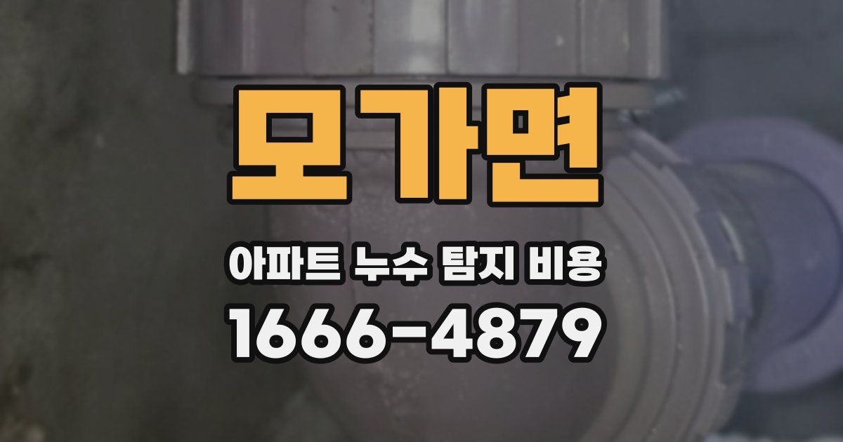 모가면 아파트 누수 탐지 비용