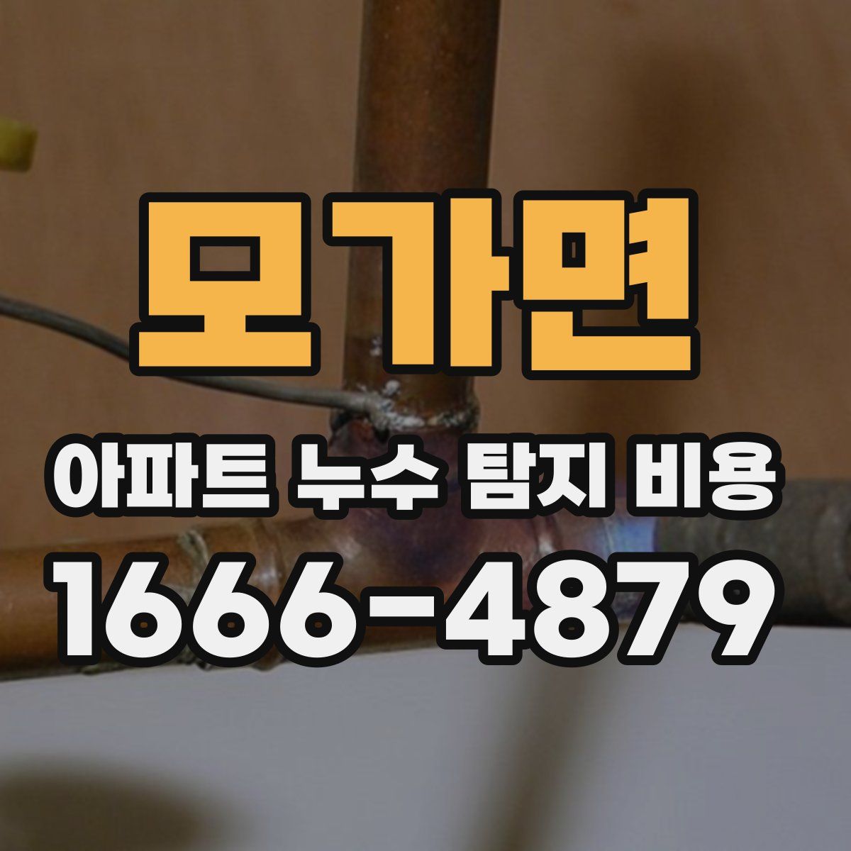 모가면 아파트 누수 탐지 비용
