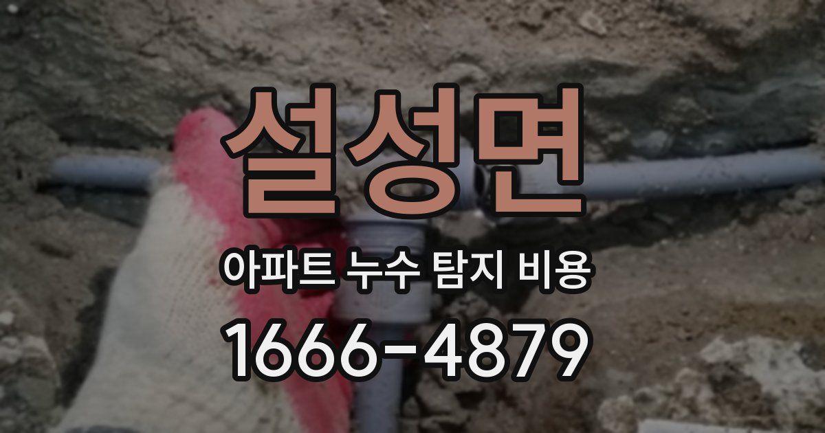 설성면 아파트 누수 탐지 비용