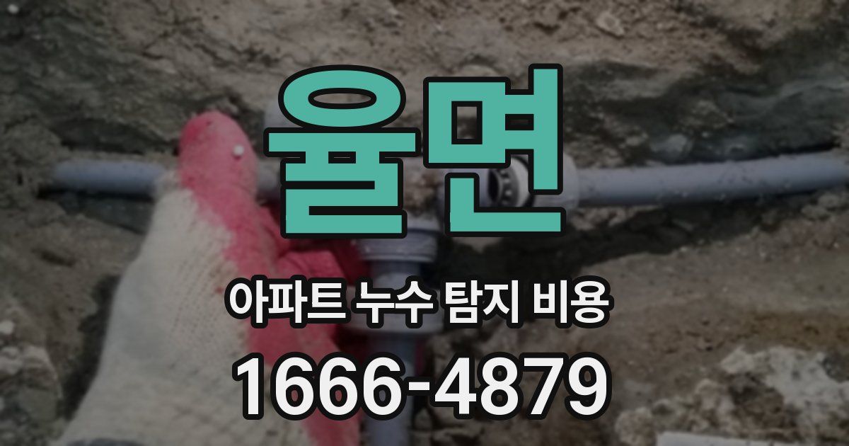 율면 아파트 누수 탐지 비용