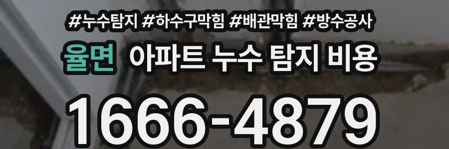 율면 아파트 누수 탐지 비용