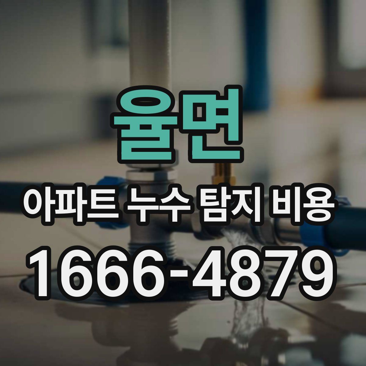 율면 아파트 누수 탐지 비용