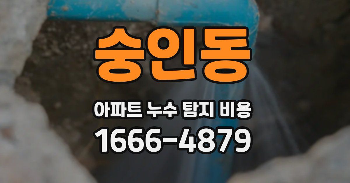 숭인동 아파트 누수 탐지 비용