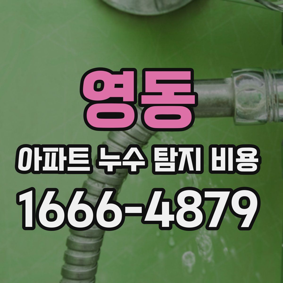 영동 아파트 누수 탐지 비용