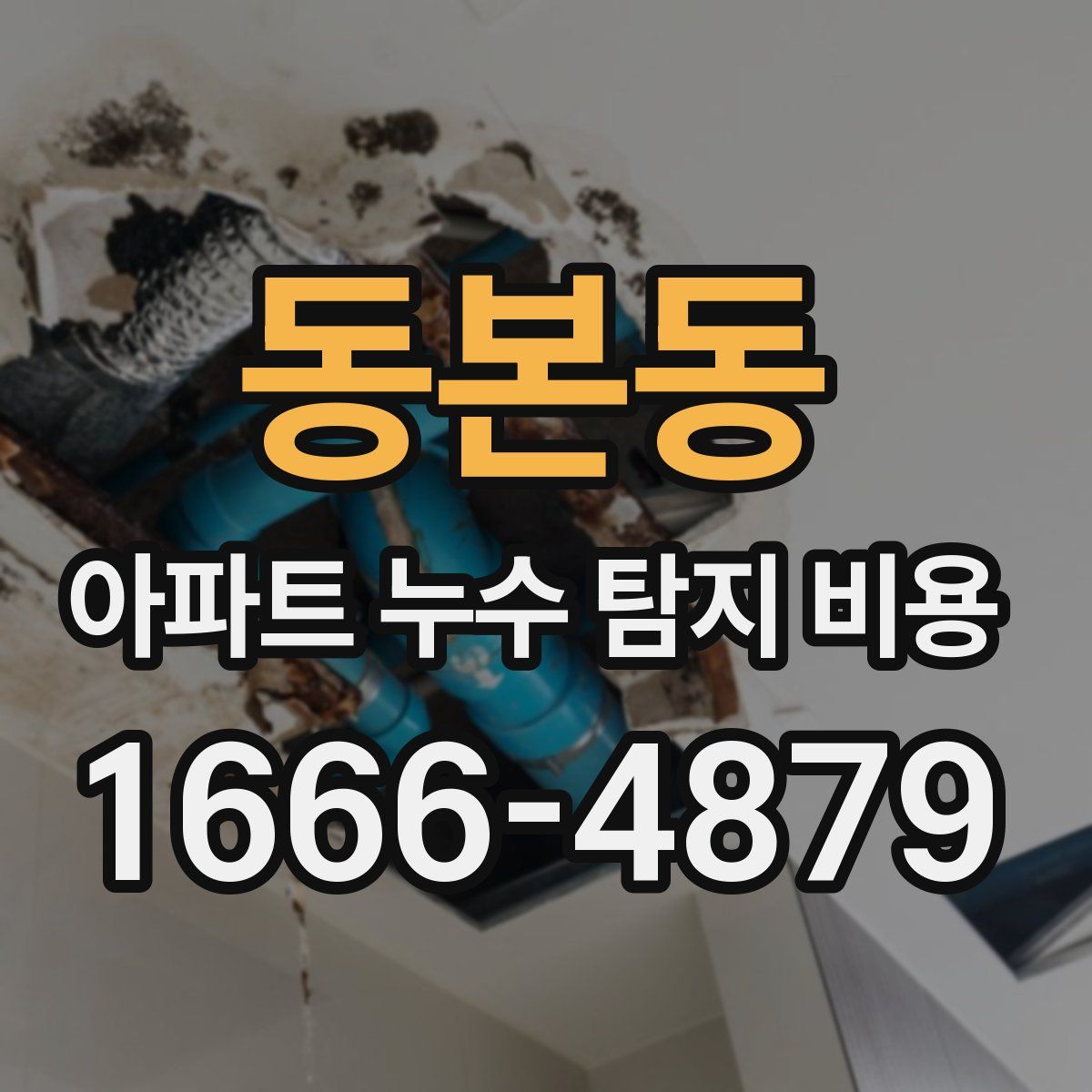 동본동 아파트 누수 탐지 비용