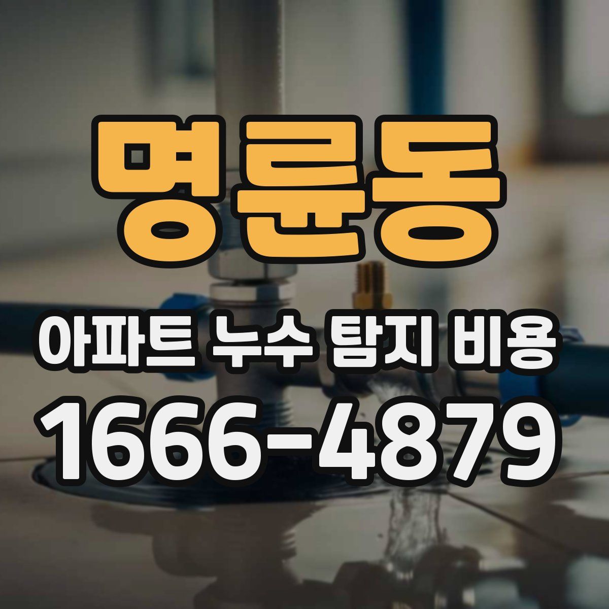 명륜동 아파트 누수 탐지 비용