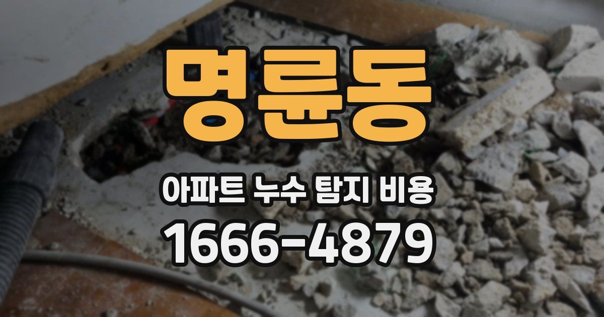 명륜동 아파트 누수 탐지 비용