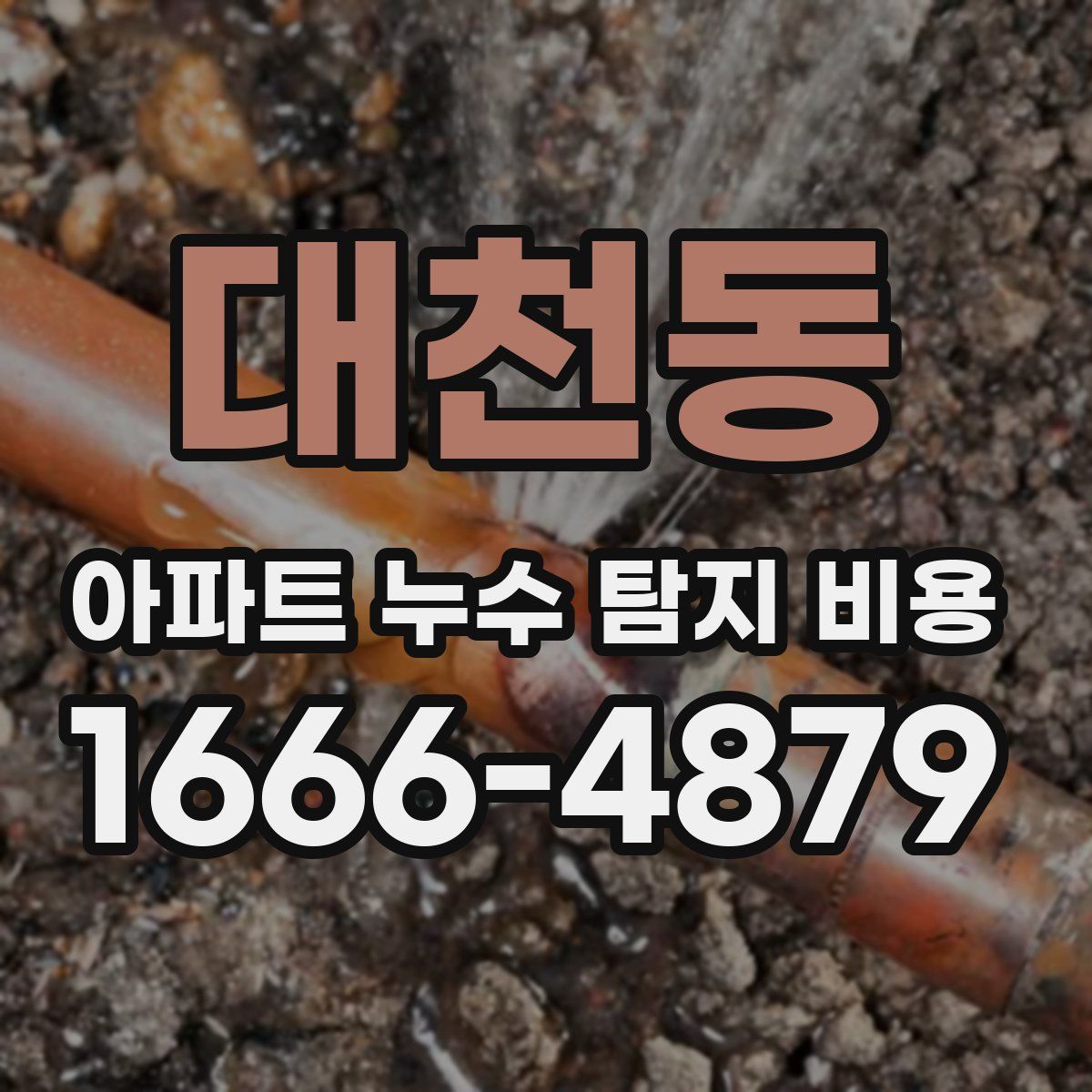 대천동 아파트 누수 탐지 비용