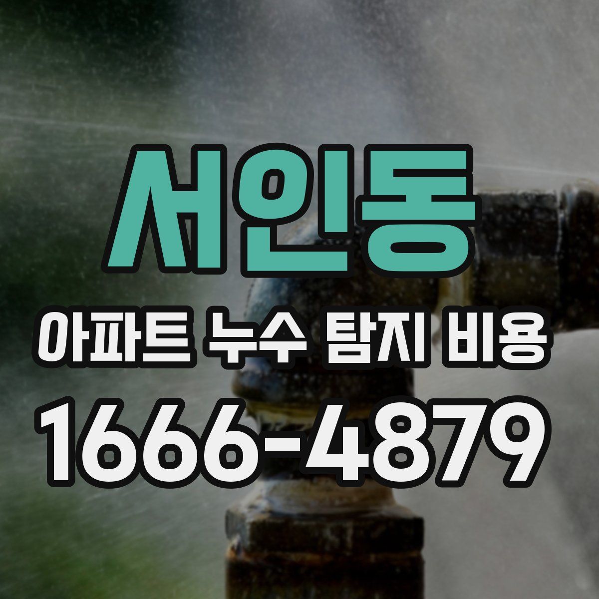 서인동 아파트 누수 탐지 비용