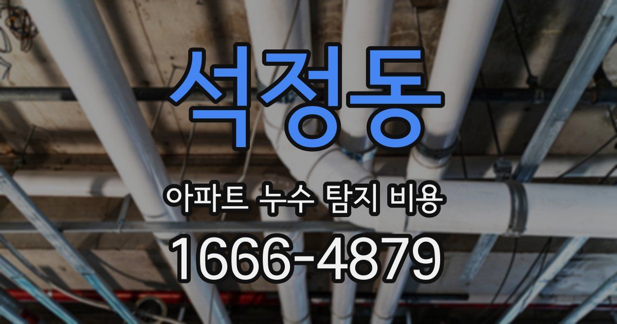 석정동 아파트 누수 탐지 비용