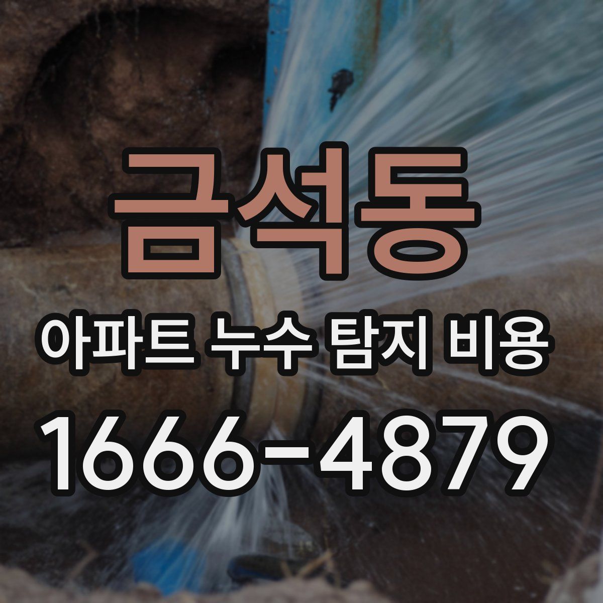 금석동 아파트 누수 탐지 비용