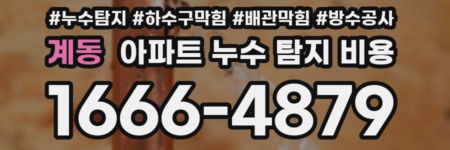 계동 아파트 누수 탐지 비용