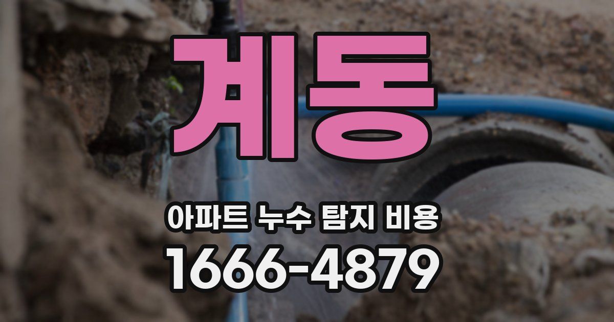 계동 아파트 누수 탐지 비용