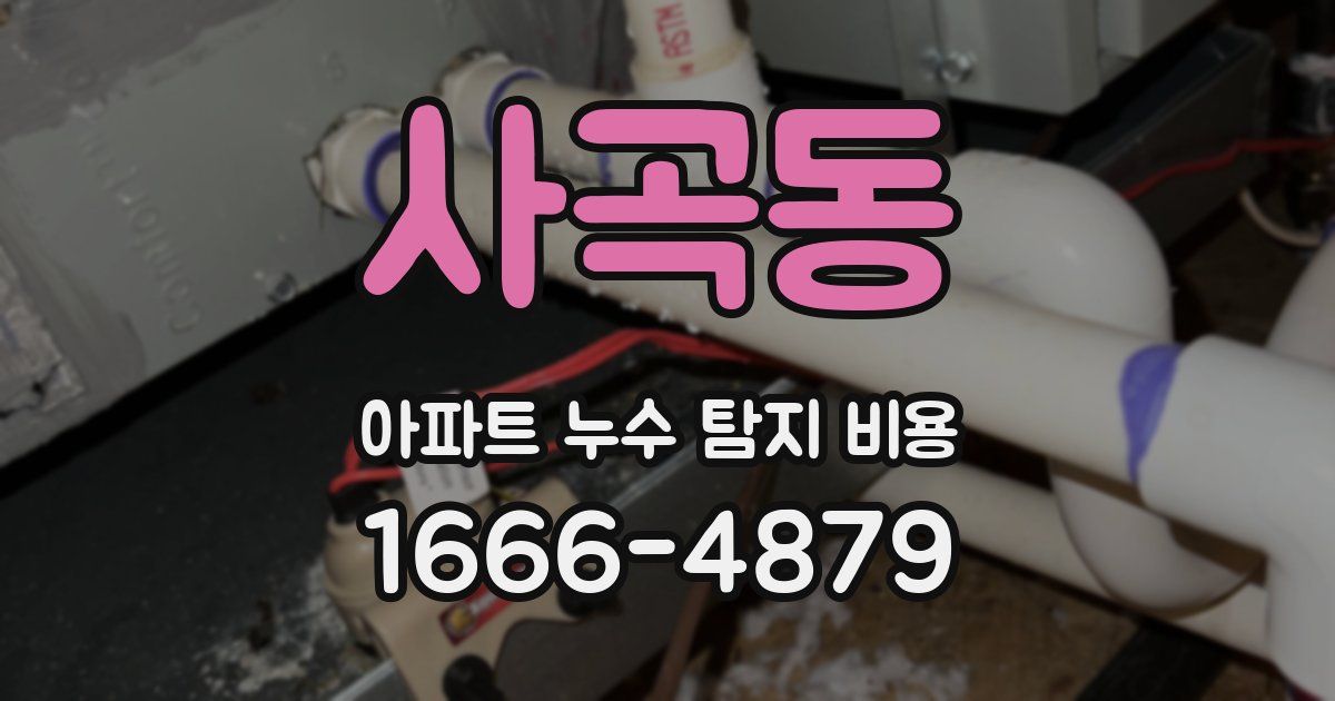 사곡동 아파트 누수 탐지 비용