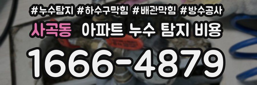 사곡동 아파트 누수 탐지 비용