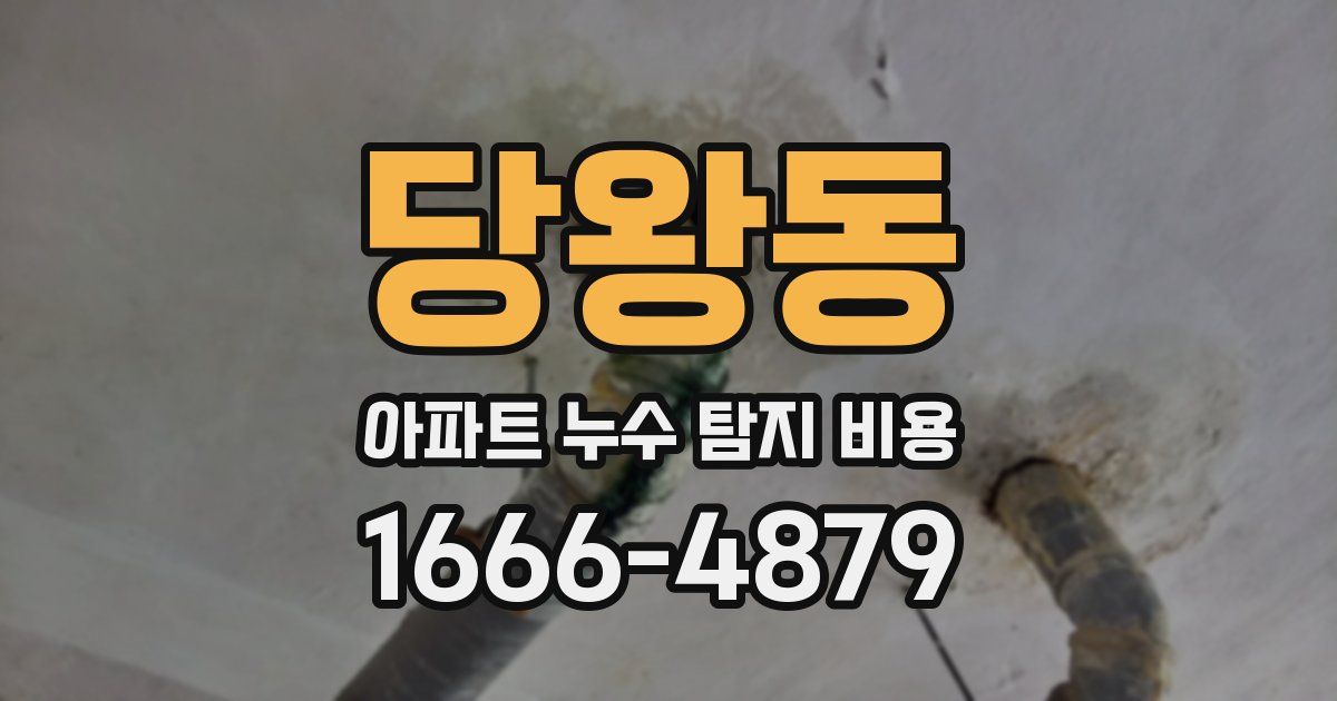 당왕동 아파트 누수 탐지 비용