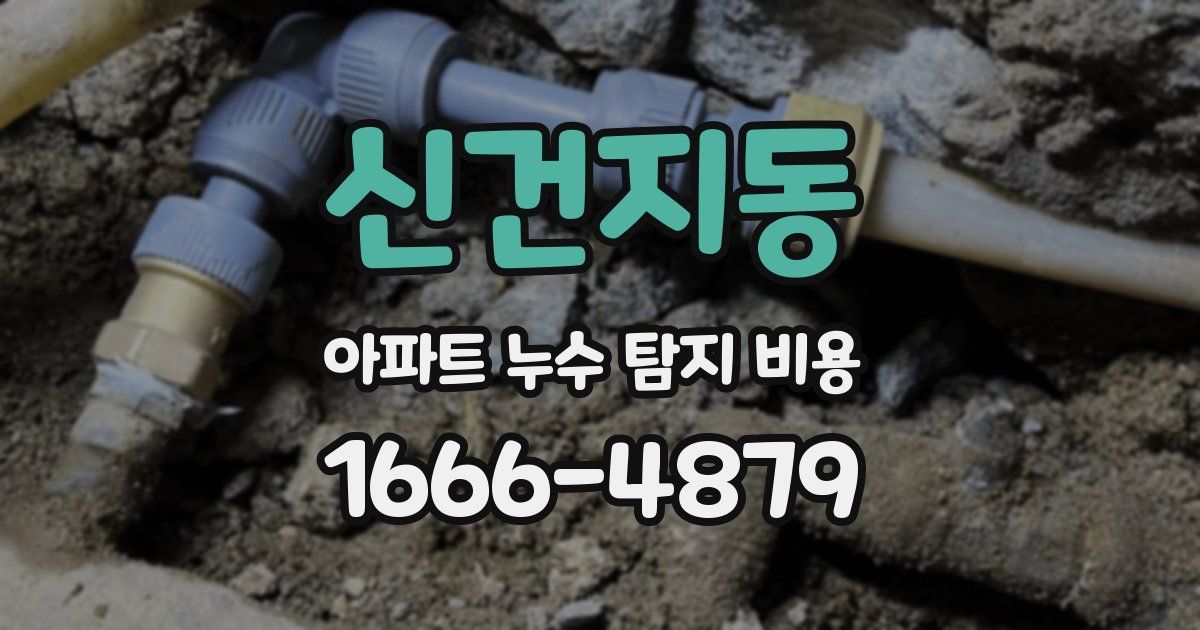 신건지동 아파트 누수 탐지 비용