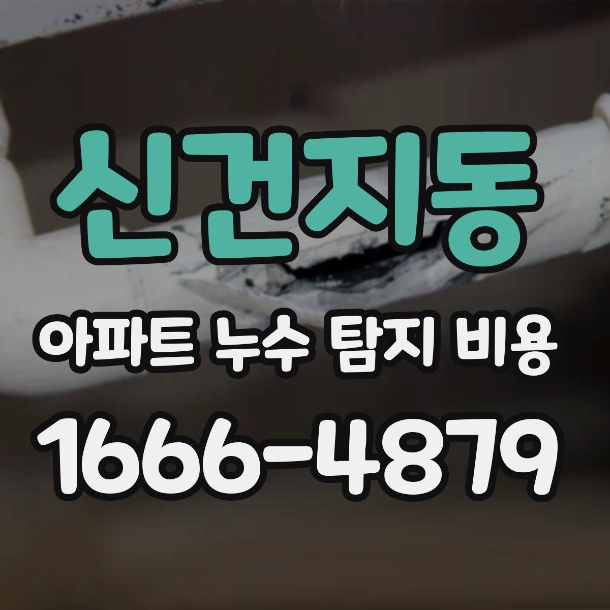 신건지동 아파트 누수 탐지 비용