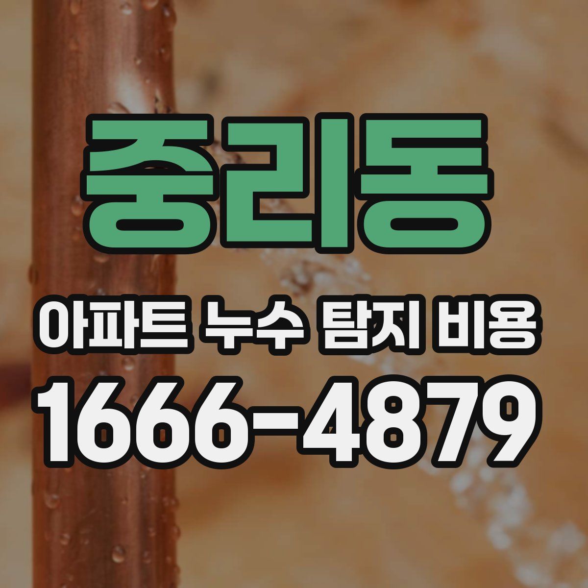 중리동 아파트 누수 탐지 비용