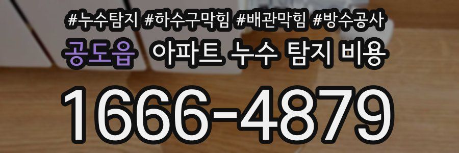 공도읍 아파트 누수 탐지 비용