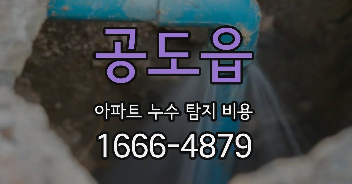 공도읍 아파트 누수 탐지 비용