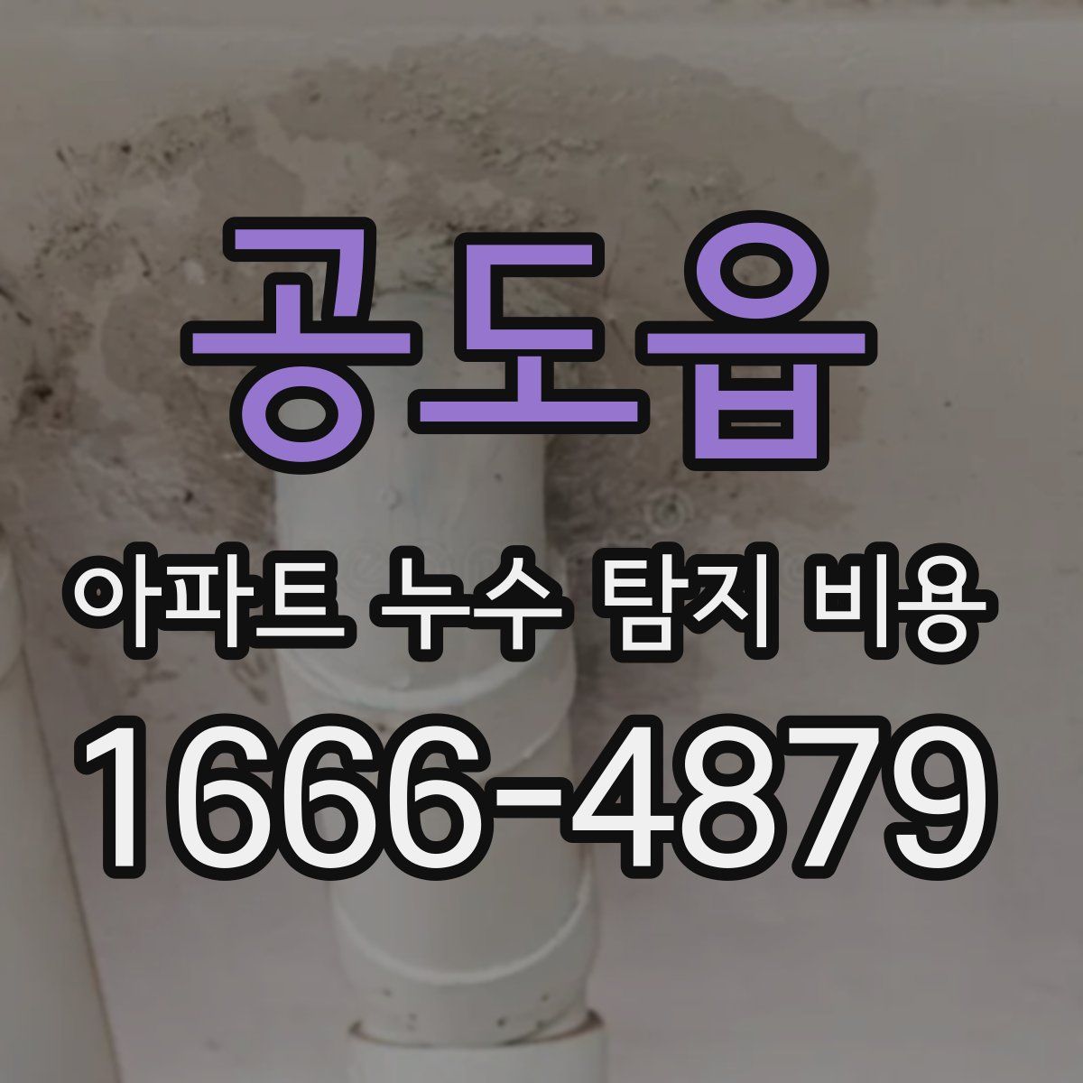 공도읍 아파트 누수 탐지 비용