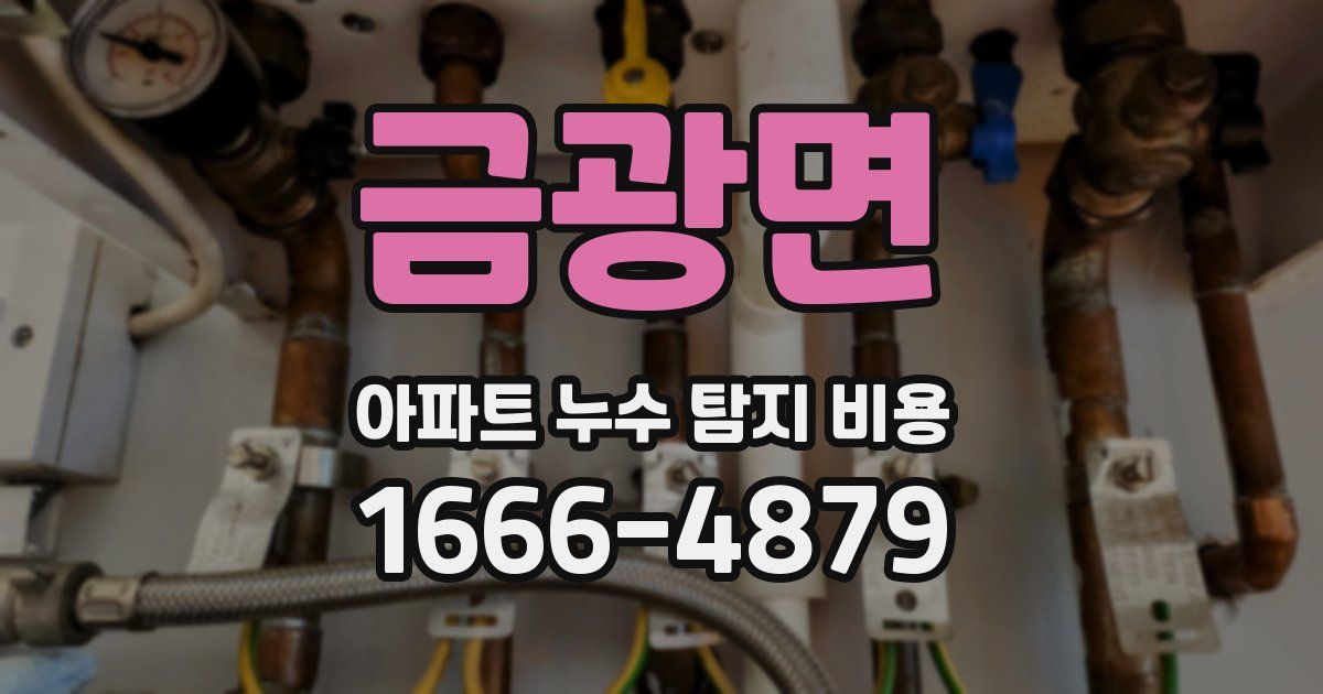 금광면 아파트 누수 탐지 비용