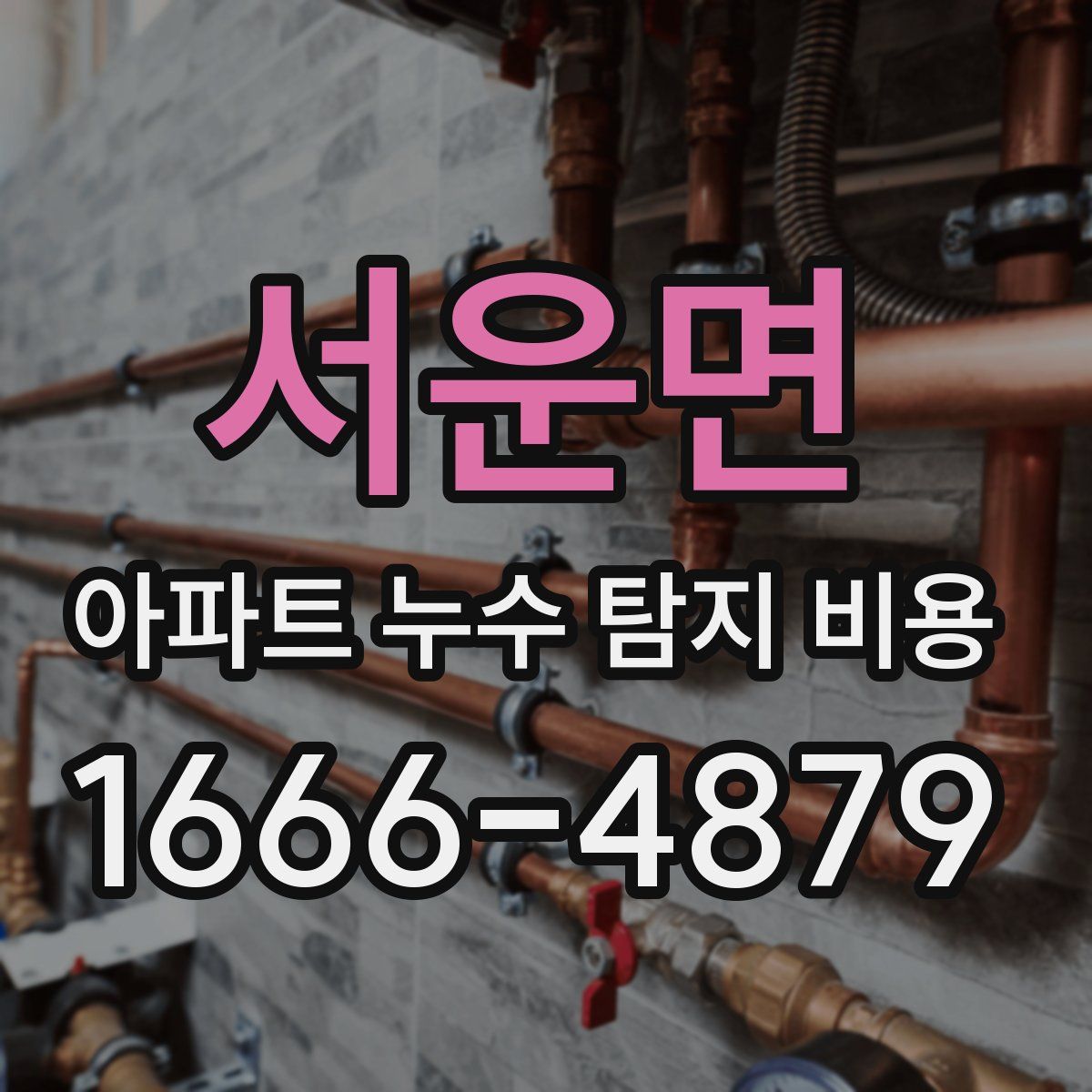 서운면 아파트 누수 탐지 비용