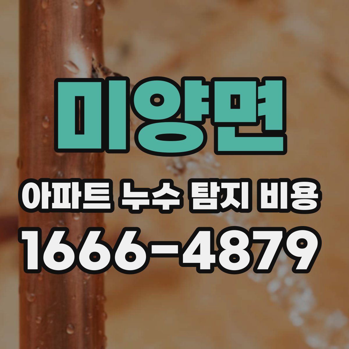 미양면 아파트 누수 탐지 비용
