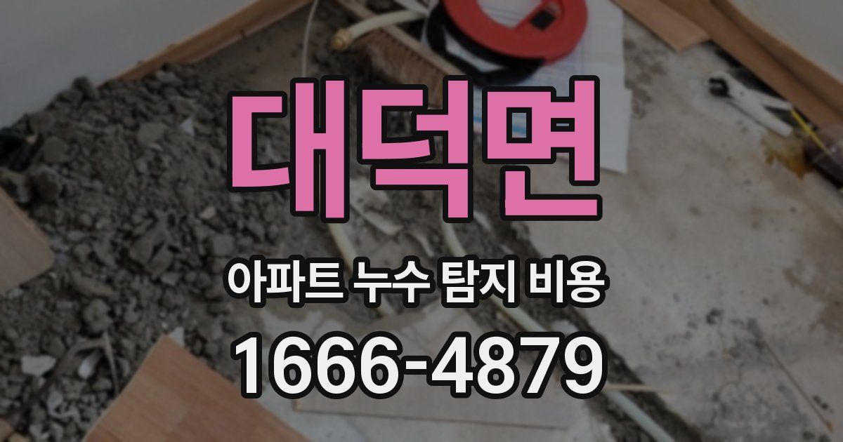 대덕면 아파트 누수 탐지 비용