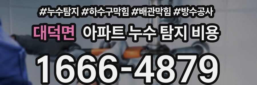 대덕면 아파트 누수 탐지 비용