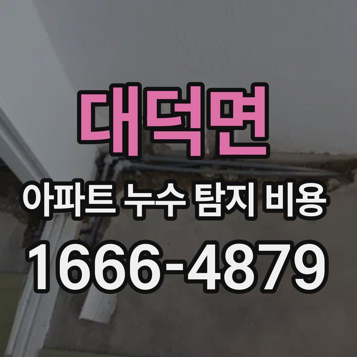 대덕면 아파트 누수 탐지 비용