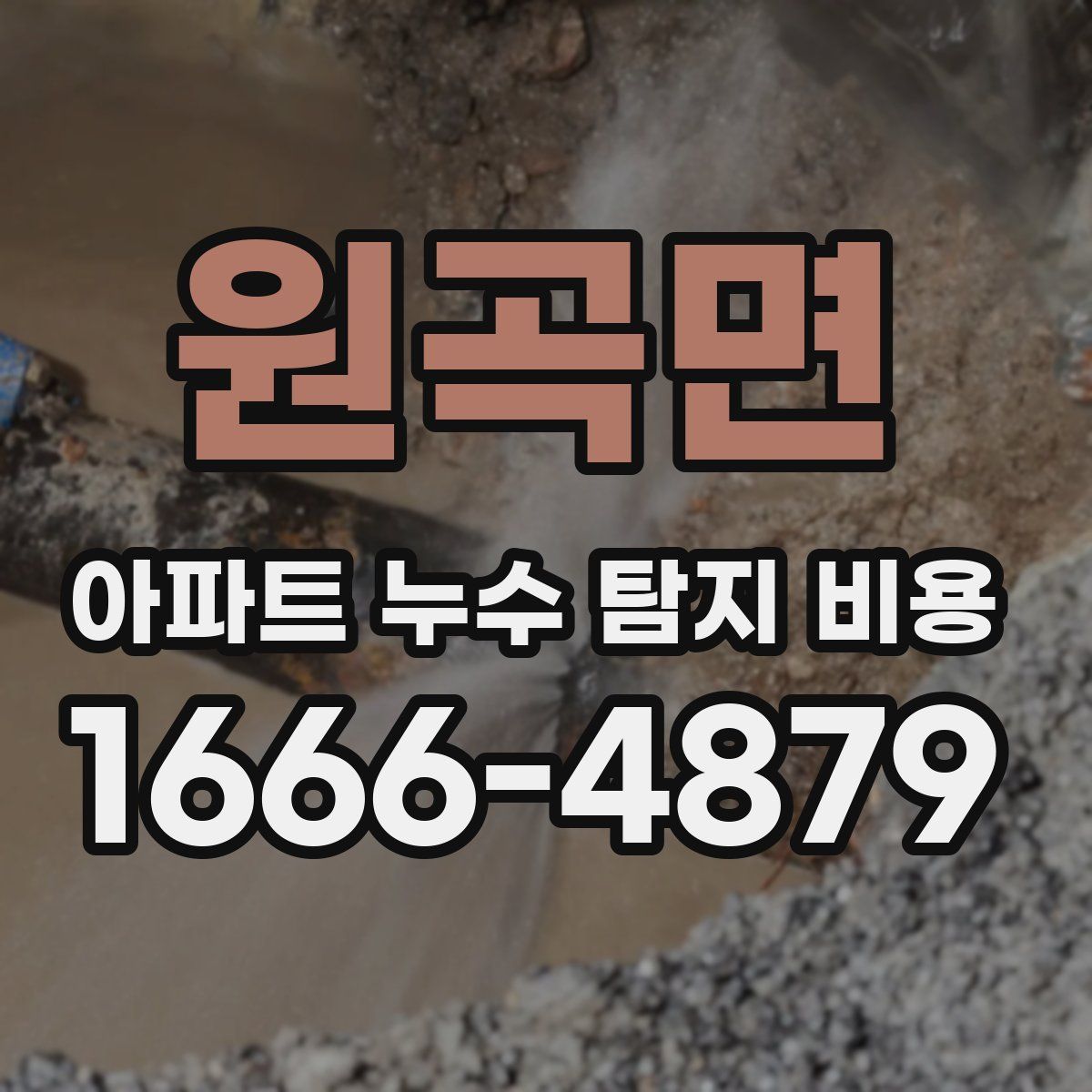 원곡면 아파트 누수 탐지 비용