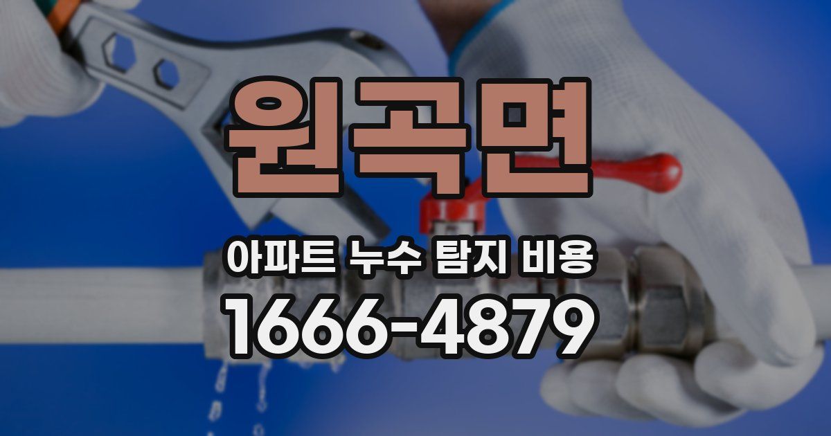원곡면 아파트 누수 탐지 비용