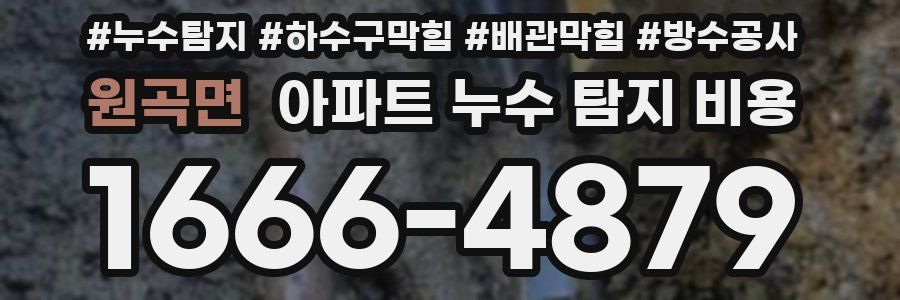 원곡면 아파트 누수 탐지 비용