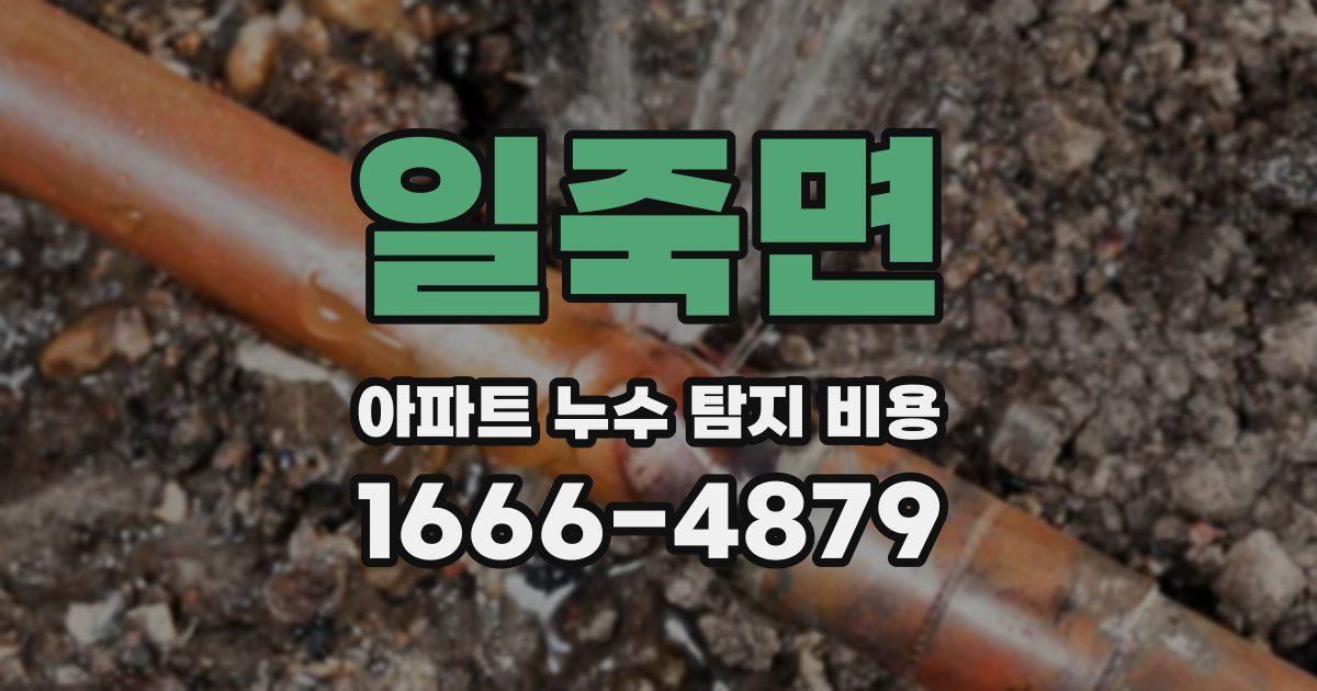 일죽면 아파트 누수 탐지 비용